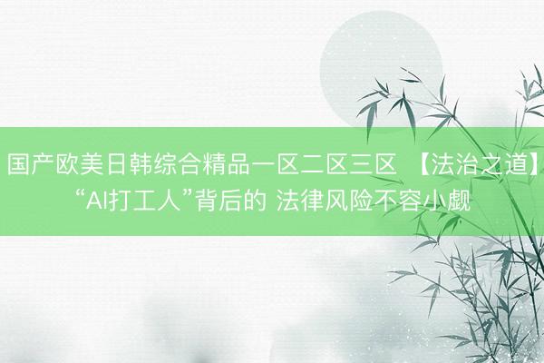 国产欧美日韩综合精品一区二区三区 【法治之道】“AI打工人”背后的 法律风险不容小觑