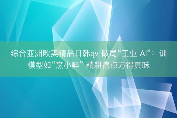 综合亚洲欧美精品日韩ąv 破局“工业 AI”：训模型如“烹小鲜” 精耕痛点方得真味