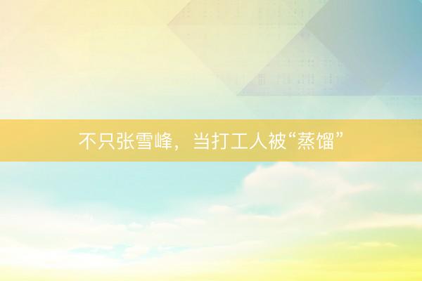 不只张雪峰，当打工人被“蒸馏”