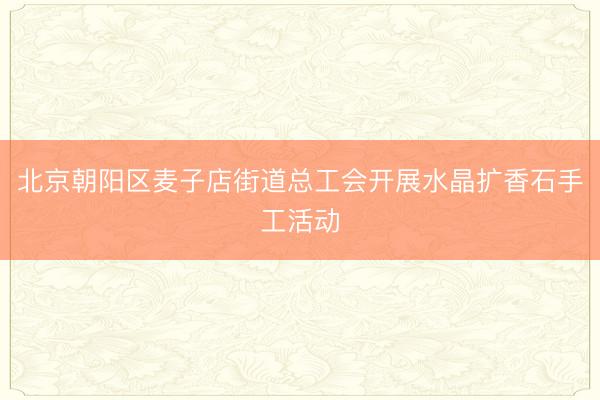 北京朝阳区麦子店街道总工会开展水晶扩香石手工活动