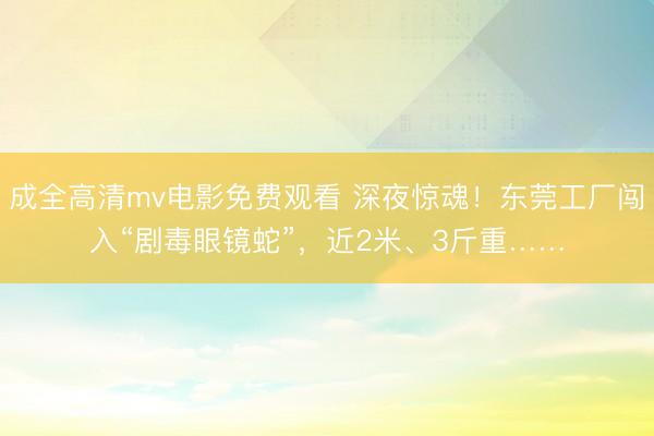 成全高清mv电影免费观看 深夜惊魂！东莞工厂闯入“剧毒眼镜蛇”，近2米、3斤重……