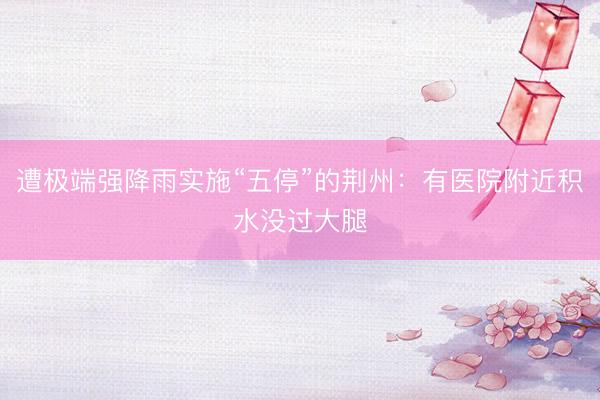 遭极端强降雨实施“五停”的荆州:有医院附近积水没过大腿