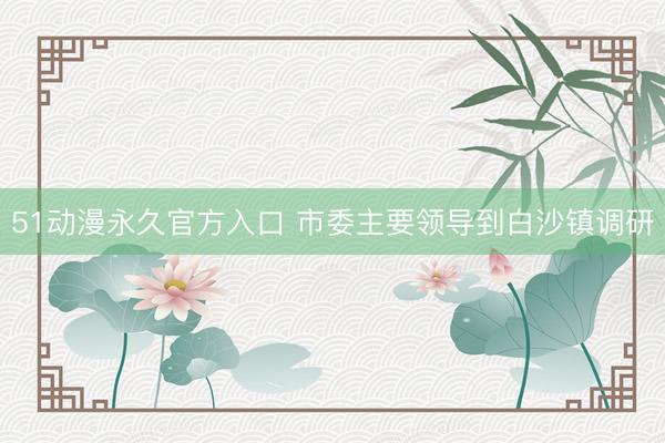 51动漫永久官方入口 市委主要领导到白沙镇调研