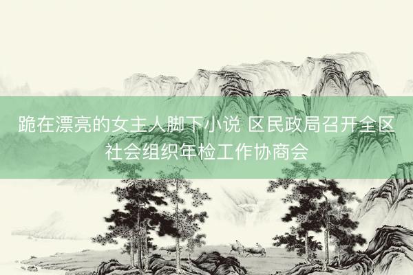 跪在漂亮的女主人脚下小说 区民政局召开全区社会组织年检工作协商会