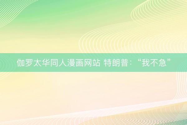 伽罗太华同人漫画网站 特朗普：“我不急”