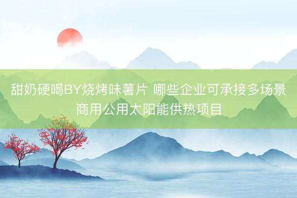 甜奶硬喝BY烧烤味薯片 哪些企业可承接多场景商用公用太阳能供热项目