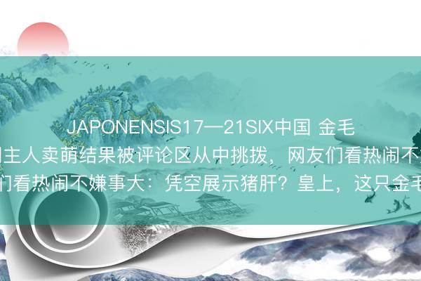 JAPONENSIS17—21SIX中国 金毛照镜子解锁新表情，兴奋朝主人卖萌结果被评论区从中挑拨，网友们看热闹不嫌事大：凭空展示猪肝？皇上，这只金毛是在耍你啊…