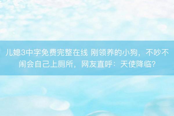 儿媳3中字免费完整在线 刚领养的小狗，不吵不闹会自己上厕所，网友直呼：天使降临？
