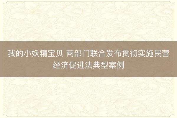 我的小妖精宝贝 两部门联合发布贯彻实施民营经济促进法典型案例