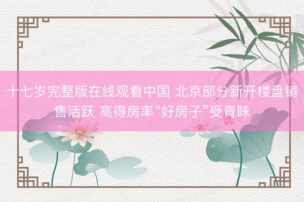 十七岁完整版在线观看中国 北京部分新开楼盘销售活跃 高得房率“好房子”受青睐