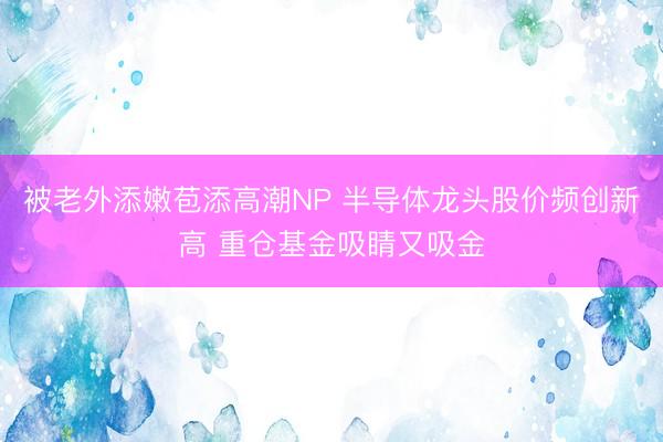 被老外添嫩苞添高潮NP 半导体龙头股价频创新高 重仓基金吸睛又吸金