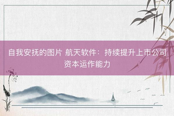 自我安抚的图片 航天软件：持续提升上市公司资本运作能力
