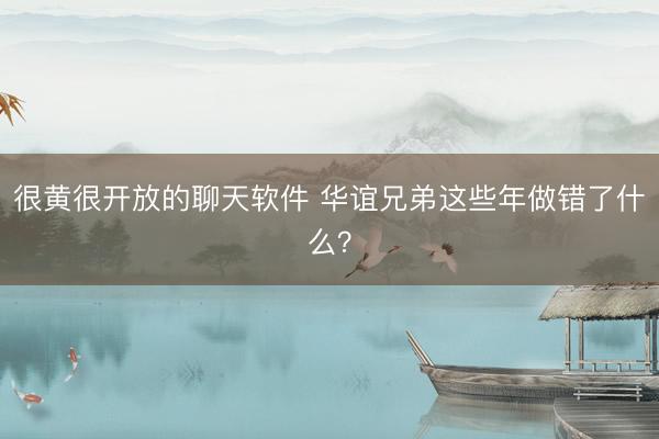 很黄很开放的聊天软件 华谊兄弟这些年做错了什么?
