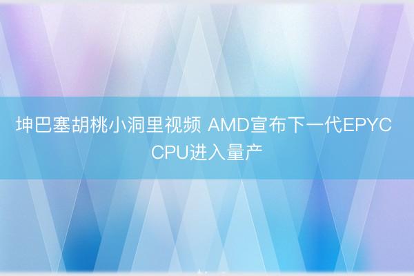 坤巴塞胡桃小洞里视频 AMD宣布下一代EPYC CPU进入量产