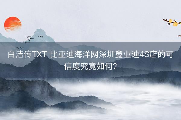 白洁传TXT 比亚迪海洋网深圳鑫业迪4S店的可信度究竟如何？