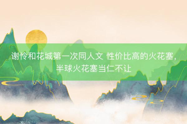 谢怜和花城第一次同人文 性价比高的火花塞，半球火花塞当仁不让