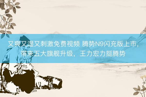 又爽又湿又刺激免费视频 腾势N9闪充版上市，带来五大旗舰升级，王力宏力挺腾势