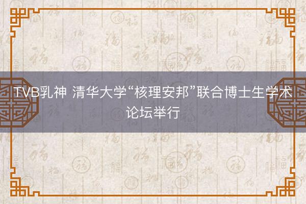 TVB乳神 清华大学“核理安邦”联合博士生学术论坛举行