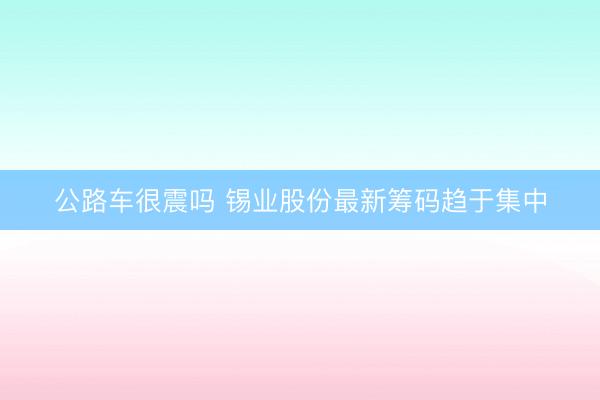 公路车很震吗 锡业股份最新筹码趋于集中