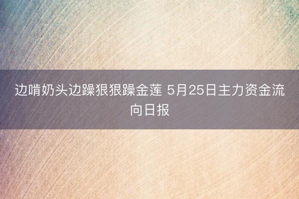 边啃奶头边躁狠狠躁金莲 5月25日主力资金流向日报