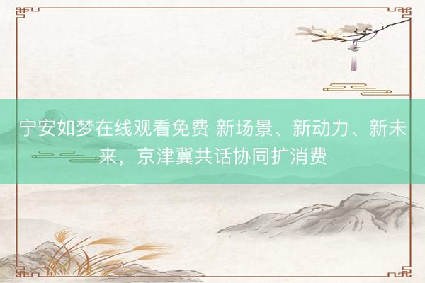 宁安如梦在线观看免费 新场景、新动力、新未来，京津冀共话协同扩消费