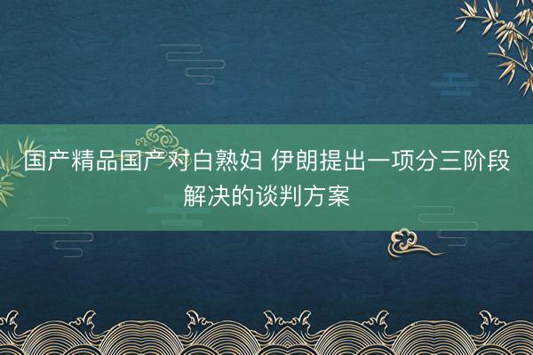 国产精品国产对白熟妇 伊朗提出一项分三阶段解决的谈判方案