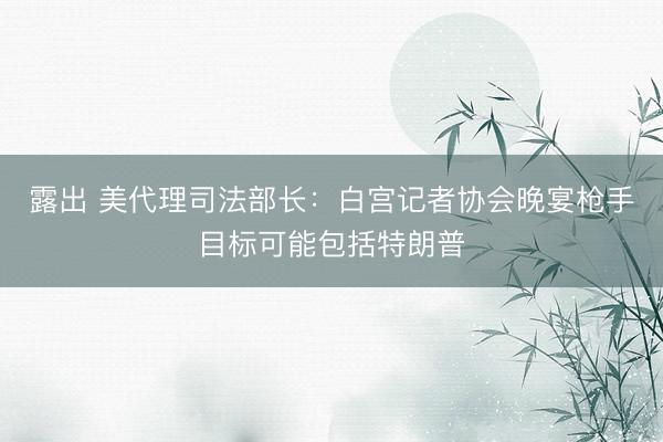 露出 美代理司法部长：白宫记者协会晚宴枪手目标可能包括特朗普