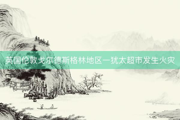 英国伦敦戈尔德斯格林地区一犹太超市发生火灾