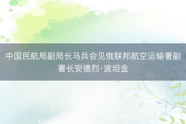 中国民航局副局长马兵会见俄联邦航空运输署副署长安德烈·波坦金