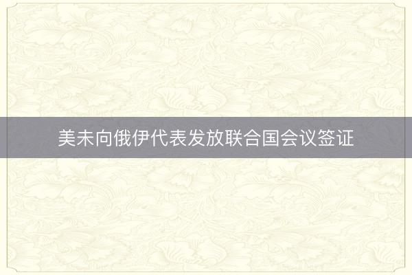 美未向俄伊代表发放联合国会议签证