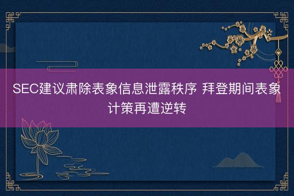 SEC建议肃除表象信息泄露秩序 拜登期间表象计策再遭逆转
