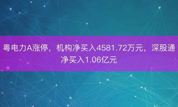 粤电力A涨停，机构净买入4581.72万元，深股通净买入1.06亿元