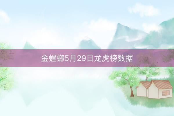 金螳螂5月29日龙虎榜数据