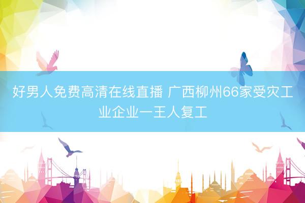 好男人免费高清在线直播 广西柳州66家受灾工业企业一王人复工