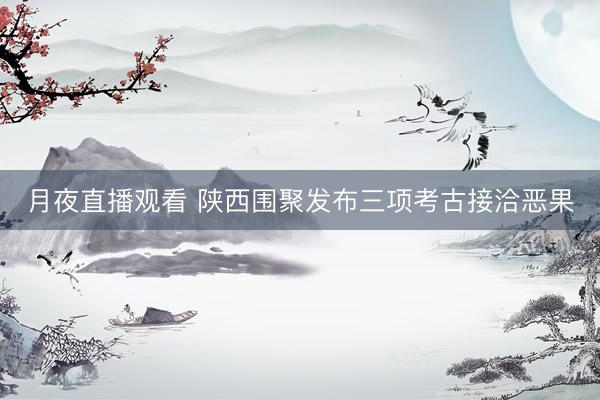 月夜直播观看 陕西围聚发布三项考古接洽恶果