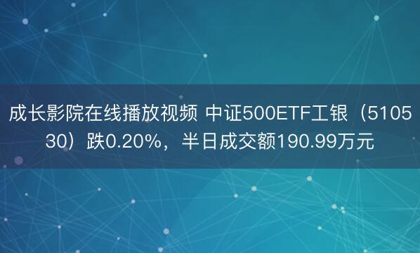 成长影院在线播放视频 中证500ETF工银（510530）跌0.20%，半日成交额190.99万元