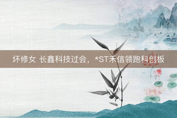 坏修女 长鑫科技过会，*ST禾信领跑科创板