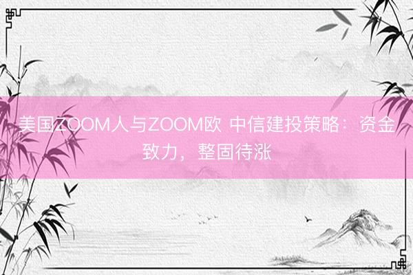 美国ZOOM人与ZOOM欧 中信建投策略：资金致力，整固待涨