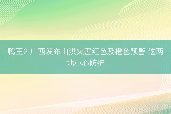 鸭王2 广西发布山洪灾害红色及橙色预警 这两地小心防护