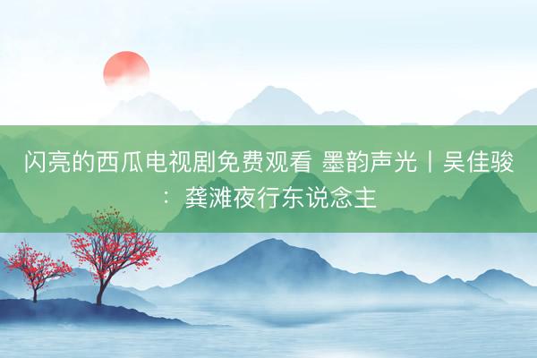 闪亮的西瓜电视剧免费观看 墨韵声光丨吴佳骏：龚滩夜行东说念主
