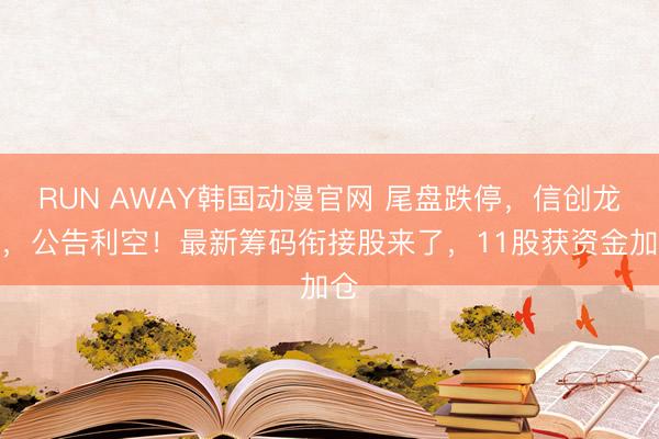 RUN AWAY韩国动漫官网 尾盘跌停，信创龙头，公告利空！最新筹码衔接股来了，11股获资金加仓