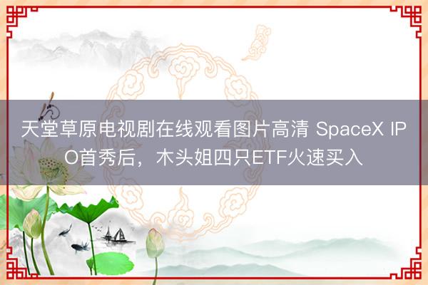 天堂草原电视剧在线观看图片高清 SpaceX IPO首秀后，木头姐四只ETF火速买入