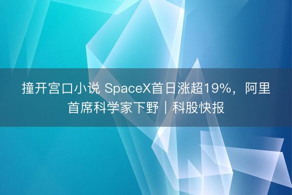 撞开宫口小说 SpaceX首日涨超19%，阿里首席科学家下野｜科股快报