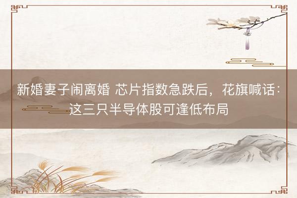 新婚妻子闹离婚 芯片指数急跌后,花旗喊话:这三只半导体股可逢低布局