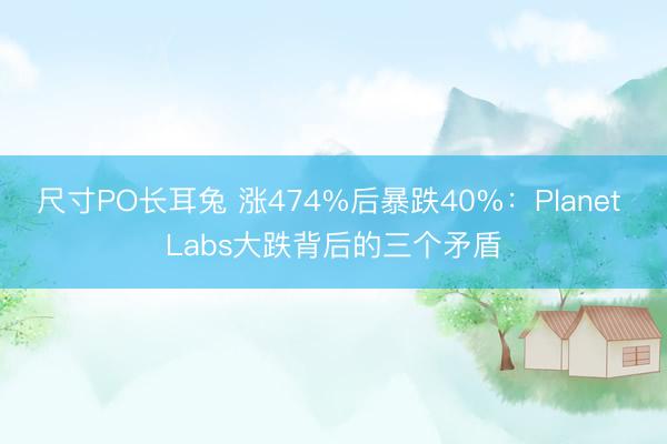 尺寸PO长耳兔 涨474%后暴跌40%：Planet Labs大跌背后的三个矛盾