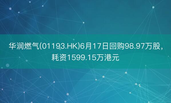 华润燃气(01193.HK)6月17日回购98.97万股，耗资1599.15万港元