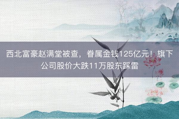 西北富豪赵满堂被查，眷属金钱125亿元！旗下公司股价大跌11万股东踩雷