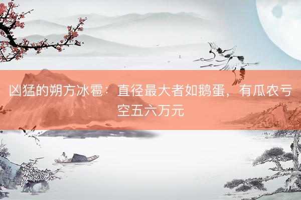 凶猛的朔方冰雹：直径最大者如鹅蛋，有瓜农亏空五六万元